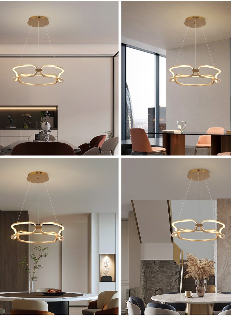 YATAI LIGHTING Modern Gold Chandelier Dining Room, Ring Chandelier for Dining Room Table, Kitchen Island Table, 54W Adjustable Height Adjustable Color Temperature Chandelier Lamp  - Image 2