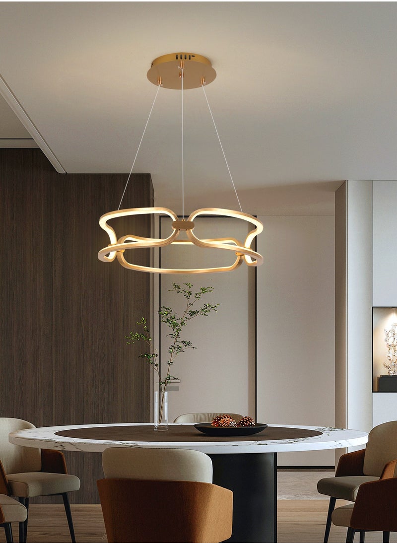 YATAI LIGHTING Modern Gold Chandelier Dining Room, Ring Chandelier for Dining Room Table, Kitchen Island Table, 54W Adjustable Height Adjustable Color Temperature Chandelier Lamp  - Image 4