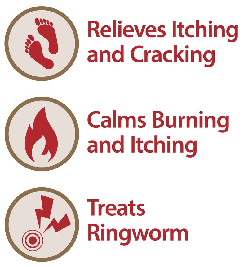 Globe (5 عبوات) كريم كلوتريمازول المضاد للفطريات 1% (1 أونصة) يخفف الحكة، والحرق، والتشقق، والتقشر المرتبطة بالعدوى الفطرية، قارن مع المكون النشط للعلامة التجارية - Image 2