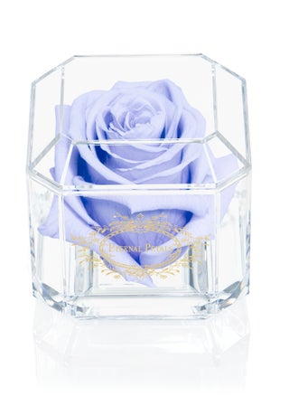 Light Lavender