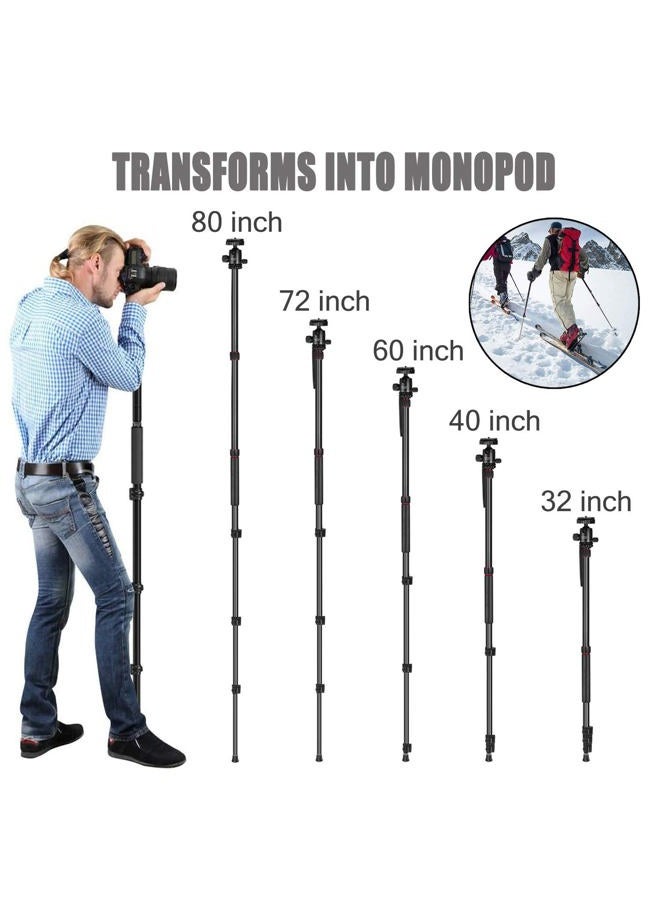 MACTREM 80" Camera Tripod, DSLR Tripod Heavy Duty for Travel, 360 ° Ball Head Professional Aluminum Tripod & Monopod with Carry Bag Compatible with Canon Nikon Sony Camcorder Phone, 33lb Load - Image 4