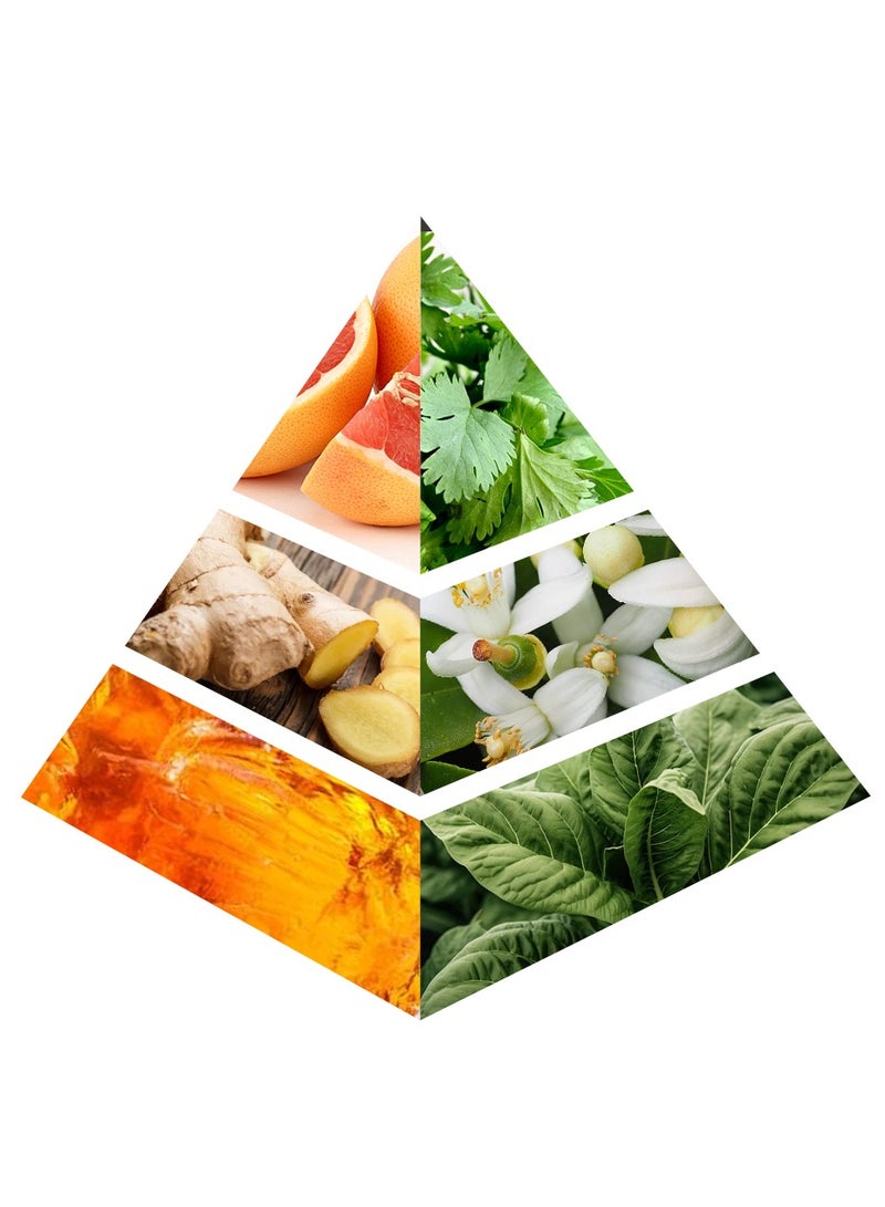 كاركتر عطر إكليبس - Image 5