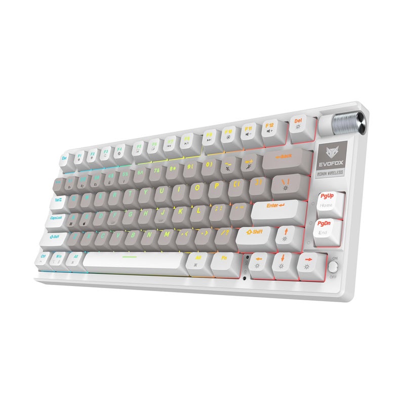 EvoFox Ronin Wireless Mechanical Keyboard (BT+2.4GHz+Wired) | 9 Layer Gasket Structure, Outemu Red Switches, Per-Key RGB, 1000Hz, nKey Rollover, Volume Controller | Windows Software (White) - Image 1