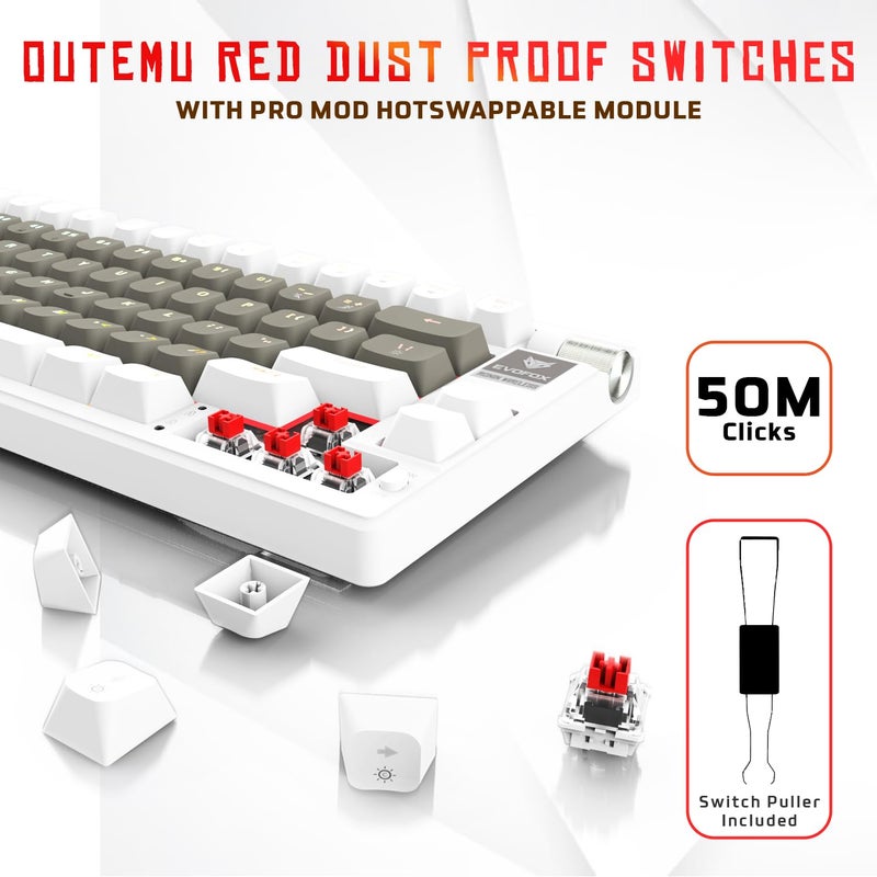 EvoFox Ronin Wireless Mechanical Keyboard (BT+2.4GHz+Wired) | 9 Layer Gasket Structure, Outemu Red Switches, Per-Key RGB, 1000Hz, nKey Rollover, Volume Controller | Windows Software (White) - Image 4
