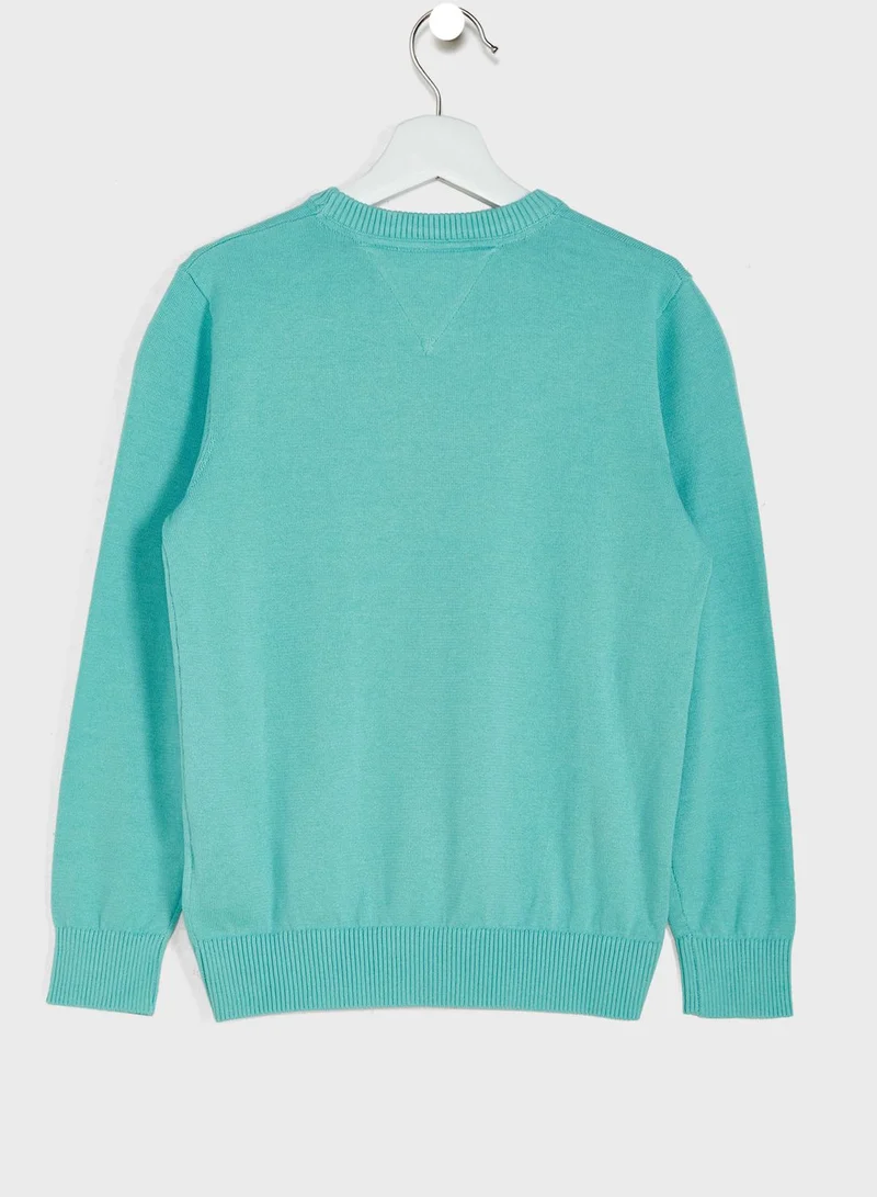 TOMMY HILFIGER Youth Logo Sweater