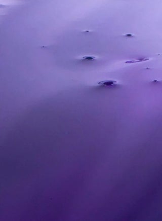 شامبو سيلفر شاين 300 مل - view 5