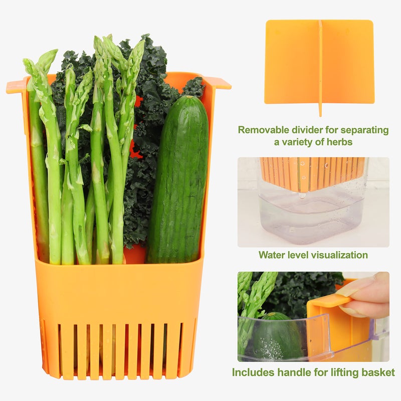 LUVCOSY Herb Keeper Set: 3 Pack Herb Saver+1 Pack Herb Scissors+2 Pack Herb Stripper, BPA-Free Plastic Herb Container for Cilantro, Mint & Asparagus, Keeps Fresh Herbs for 3 Times Longer - Image 5
