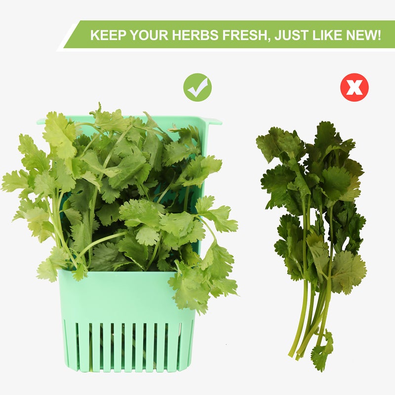 LUVCOSY Herb Keeper Set: 3 Pack Herb Saver+1 Pack Herb Scissors+2 Pack Herb Stripper, BPA-Free Plastic Herb Container for Cilantro, Mint & Asparagus, Keeps Fresh Herbs for 3 Times Longer - Image 4