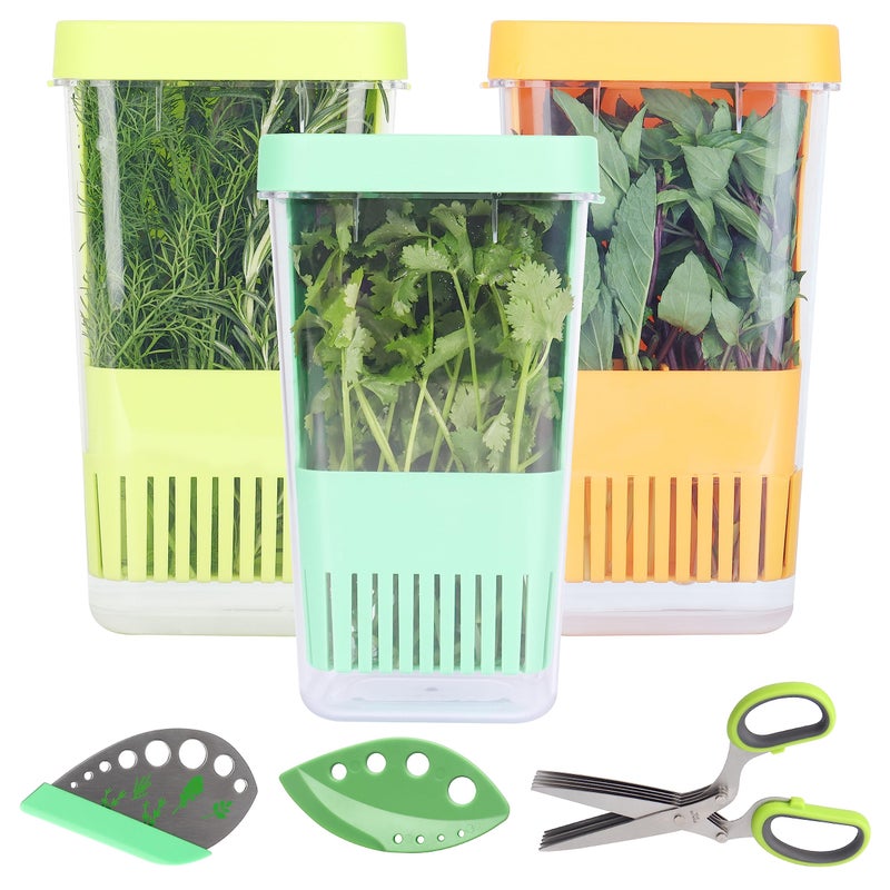 LUVCOSY Herb Keeper Set: 3 Pack Herb Saver+1 Pack Herb Scissors+2 Pack Herb Stripper, BPA-Free Plastic Herb Container for Cilantro, Mint & Asparagus, Keeps Fresh Herbs for 3 Times Longer - Image 1