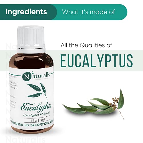 Naturalis Eucalyptus Oil Essential Oil - Pure Eucalyptus Essential Oil For Aromatherapy, Skin & Hair Care, Massage, Steam Inhalation, And Diffuser - Therapeutic Grade, 30Ml - Image 3