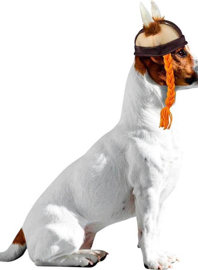 RUBIE'S Viking Hat With Braids For Pets, Medium/Large, Multicolor - Image 4
