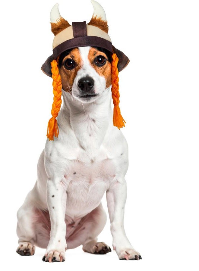 RUBIE'S Viking Hat With Braids For Pets, Medium/Large, Multicolor - Image 1