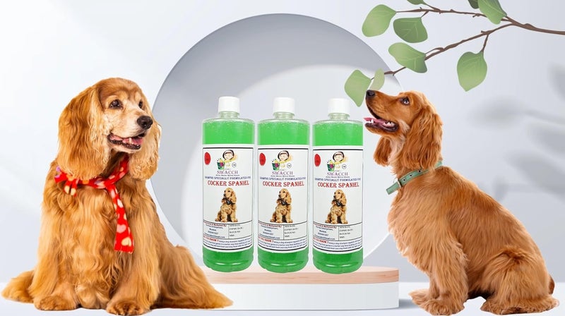 Swacch Shampoo Specially Formulated for Cocker Spaniel 1 Litre Combo Pack of 3 Neem Alovera - Image 1