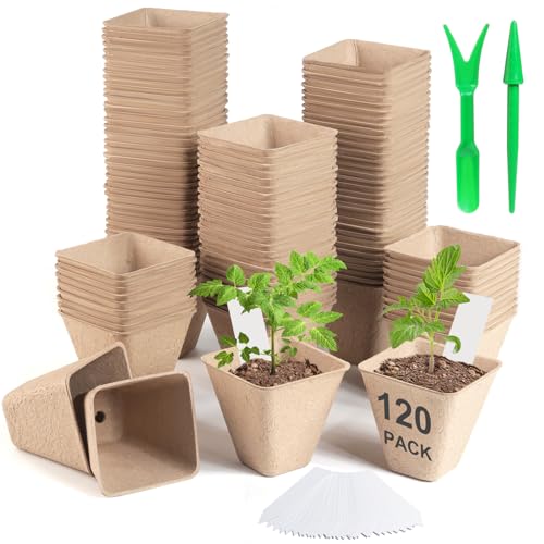 Baxrou 120 Pack 3.15 Inch Square Peat Pots for Seedlings, Seed Starting Pots with Drainage Holes Nursery Pot, Herb Seed Starter Pot Kits wit 30 Plant Labels, 2 Transplant Tools. - Image 1