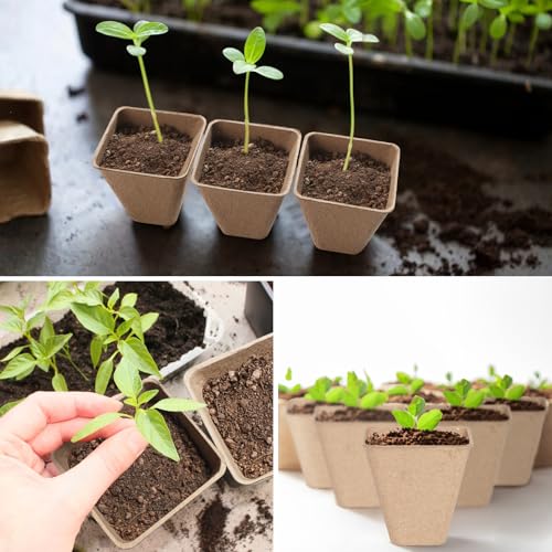 Baxrou 120 Pack 3.15 Inch Square Peat Pots for Seedlings, Seed Starting Pots with Drainage Holes Nursery Pot, Herb Seed Starter Pot Kits wit 30 Plant Labels, 2 Transplant Tools. - Image 4