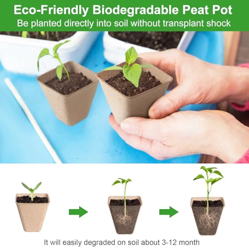 Baxrou 120 Pack 3.15 Inch Square Peat Pots for Seedlings, Seed Starting Pots with Drainage Holes Nursery Pot, Herb Seed Starter Pot Kits wit 30 Plant Labels, 2 Transplant Tools. - Image 5