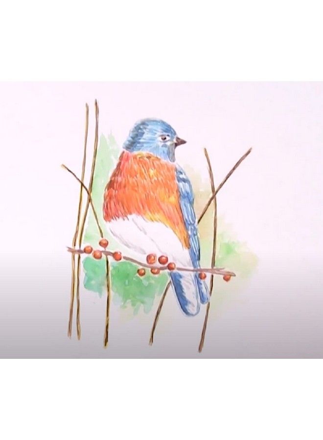 Pelikan Washable Master Watercolor Paint And Brush Plastic Set 12 Colors 1 Each (07501201) - Image 5