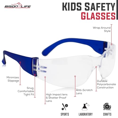 BISON LIFE Safety Glasses for Kids 6 PAIRS | ANSI Z87 Impact and Scratch Resistant, Clear Lens Assorted Color Temples, Child Youth Size Science Glasses with 6 Color Variety - Image 2