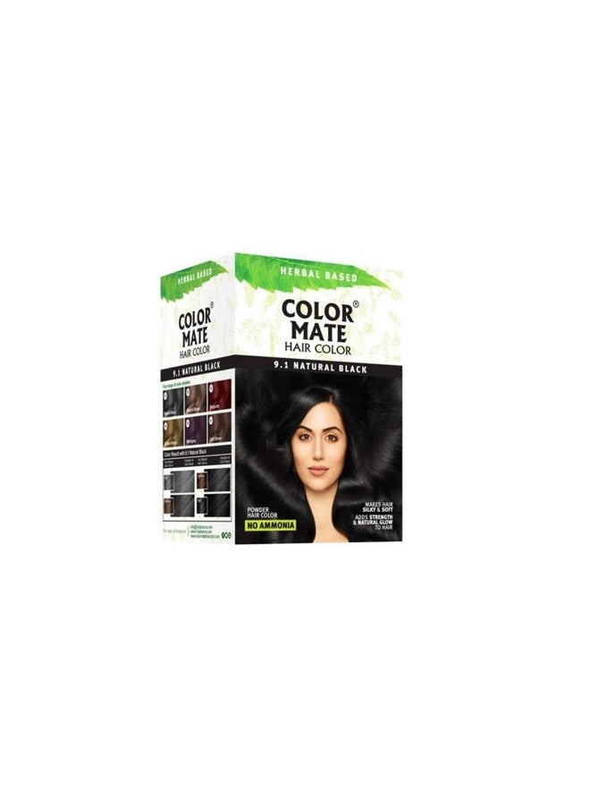 COLOR MATE Herbal Based Ammonia Free Hair Color With Ayur Product In Combo (9.1-Natural Black) 