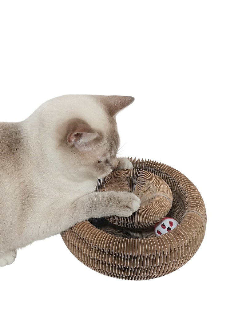 Magic Organ Foldable Cat Scratching Board - Magnetic Closure, Multi-Shape Design with Bell & Glow Balls | Durable Corrugated Cardboard, Space-Saving & Interactive Cat Toy for Indoor Play - Image 3