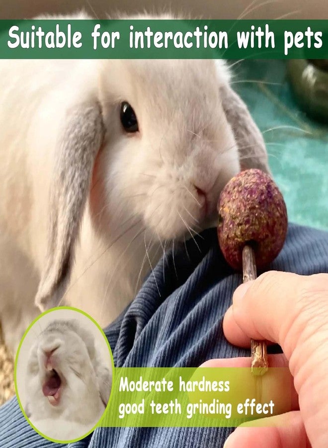kathson 20PCS Rabbit Timothy Hay Treats Sticks,Interactive Bunny Lollipop Chew Sticks,Natural Guinea Pigs Chewing Treats Molar Teeth Toys for Small Animals,Chinchilla,Hamster,Gerbil - Image 5