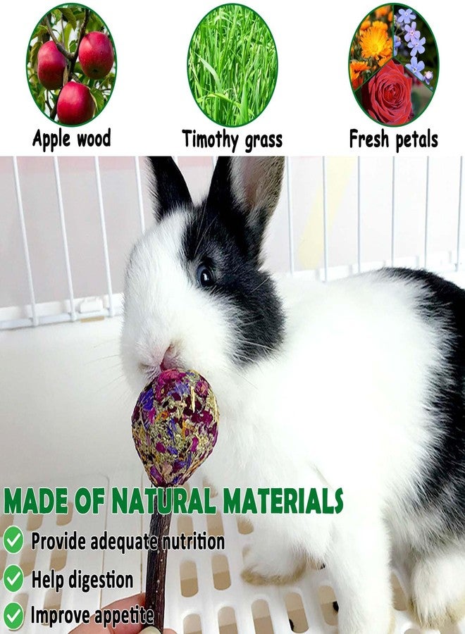 kathson 20PCS Rabbit Timothy Hay Treats Sticks,Interactive Bunny Lollipop Chew Sticks,Natural Guinea Pigs Chewing Treats Molar Teeth Toys for Small Animals,Chinchilla,Hamster,Gerbil - Image 2