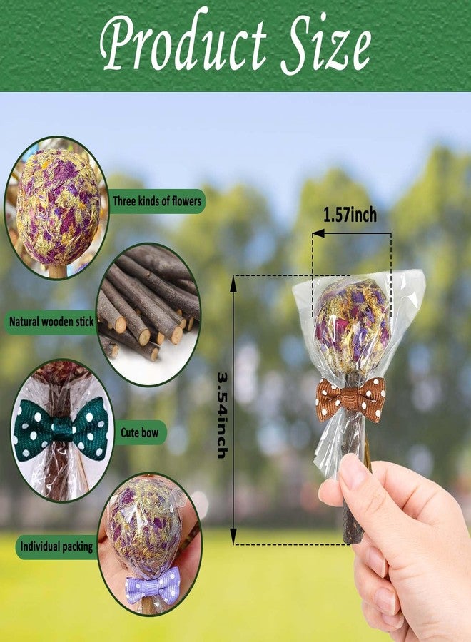 kathson 20PCS Rabbit Timothy Hay Treats Sticks,Interactive Bunny Lollipop Chew Sticks,Natural Guinea Pigs Chewing Treats Molar Teeth Toys for Small Animals,Chinchilla,Hamster,Gerbil - Image 4