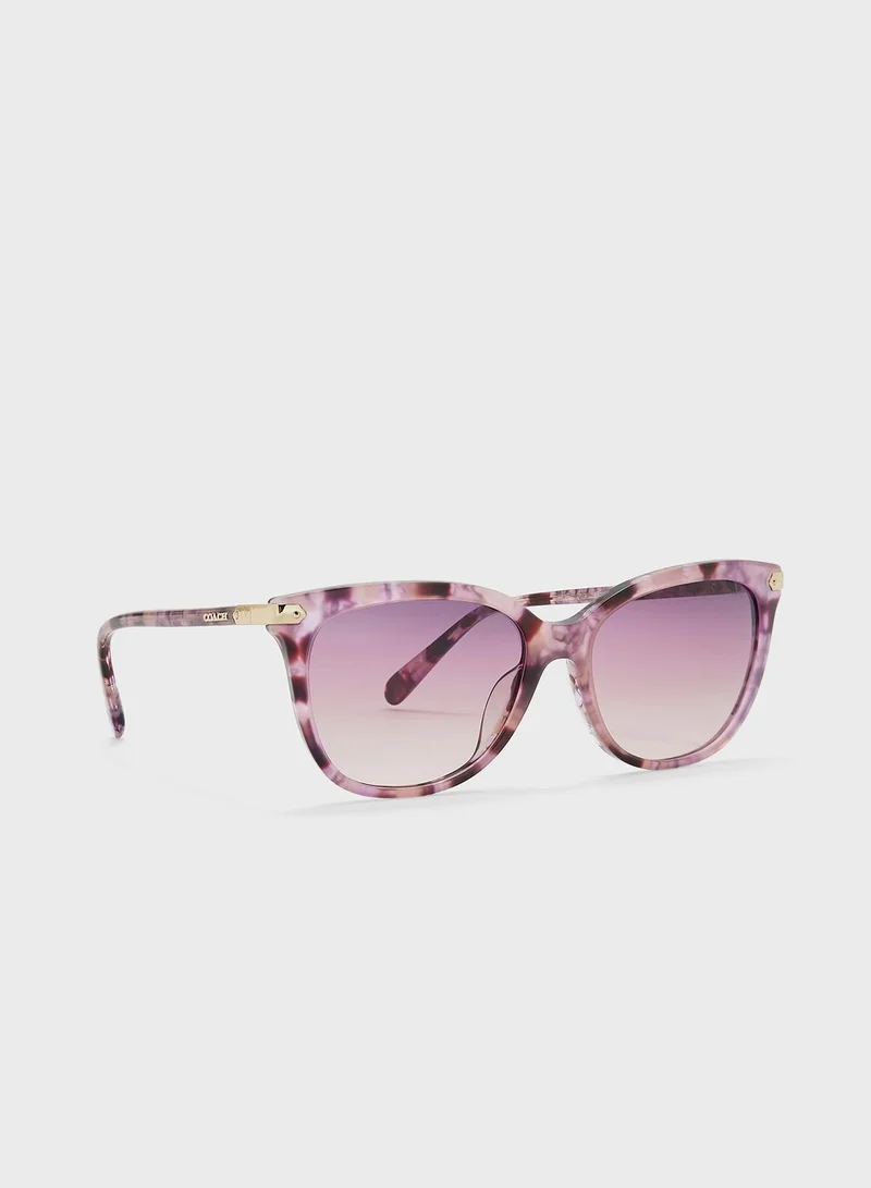 COACH 0Hc8378U Wayfarers Sunglasses