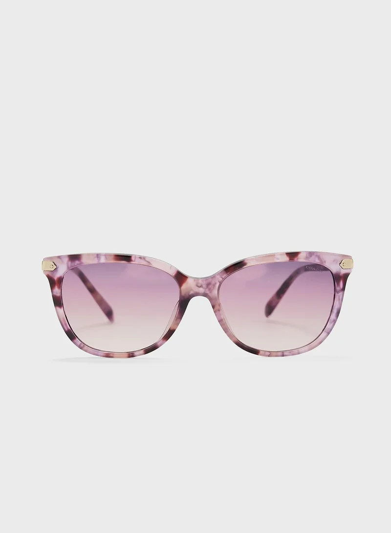 COACH 0Hc8378U Wayfarers Sunglasses
