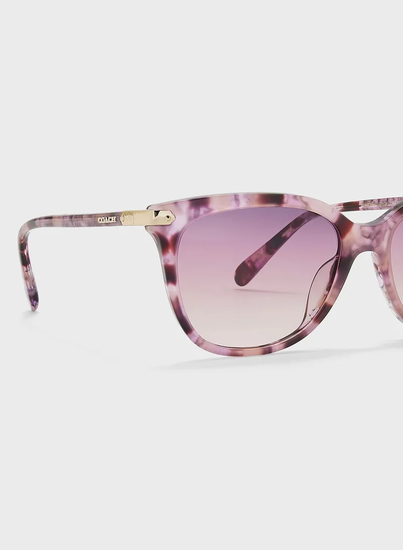 COACH 0Hc8378U Wayfarers Sunglasses