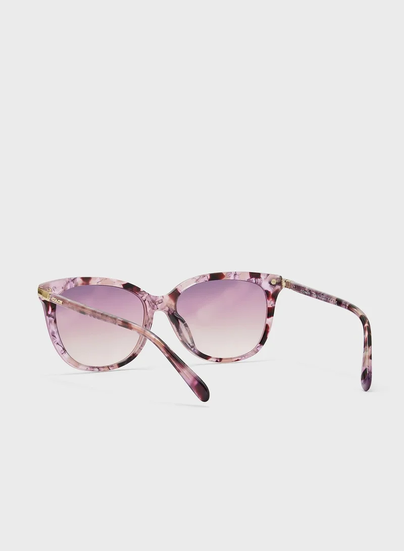 COACH 0Hc8378U Wayfarers Sunglasses