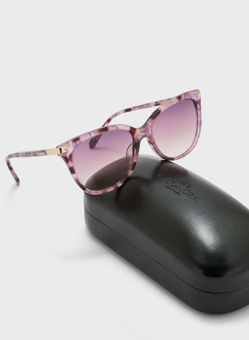 COACH 0Hc8378U Wayfarers Sunglasses