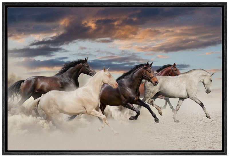 NWT Framed Canvas Print Wall Art Brown White Horse Group at Sunset Animals Wildlife Photography Modern Art Southwest Scenic RelaxCalm Warm for Living Room Bedroom Office 16x24 Black