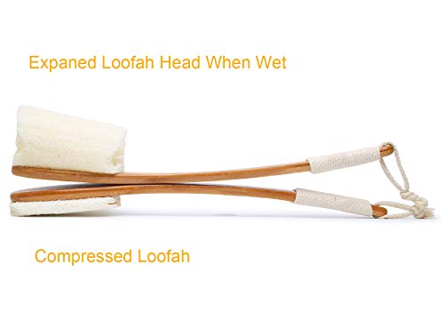 Leotruny 100% Natural Exfoliating Loofah with Long Wooden Handle Shower Back Brush (Off-White (2 Pack)) - Image 5