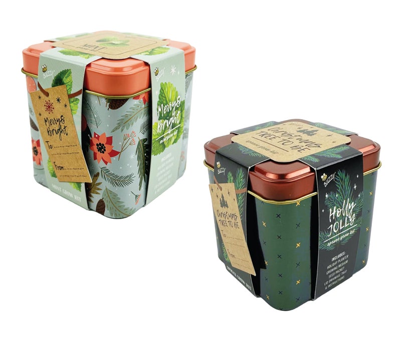 BUZZY Seeds Holiday Mini Spruce and Mint Square Tin Grow Kit 2-Pack, All-in-One Indoor DIY Gardening Gift, Party Favors, Gardening Gifts, Plant Lovers - Image 2
