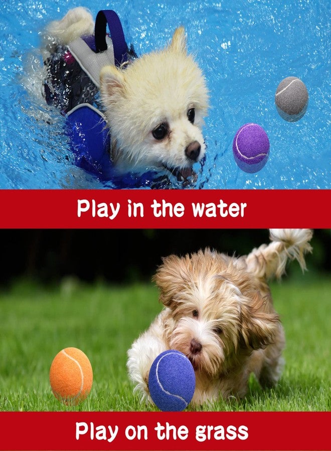 Yunsailing 15 Pcs Dog Tennis Balls Bulk 2.5 Inch Tennis Balls for Dogs Colored Mini Pet Toy Bulk for Large Medium Small Puppy Training Exercis - Image 5