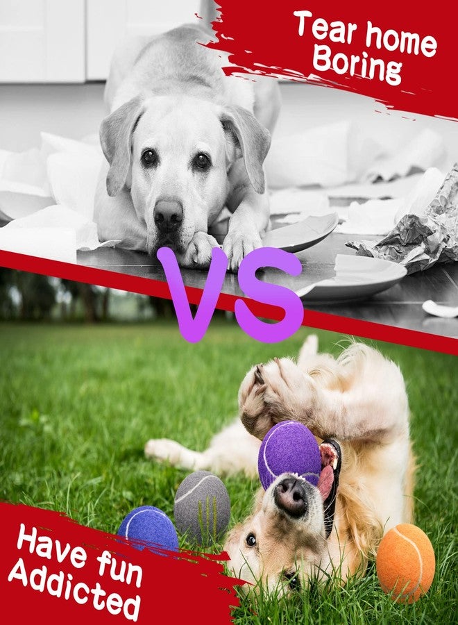 Yunsailing 15 Pcs Dog Tennis Balls Bulk 2.5 Inch Tennis Balls for Dogs Colored Mini Pet Toy Bulk for Large Medium Small Puppy Training Exercis - Image 4