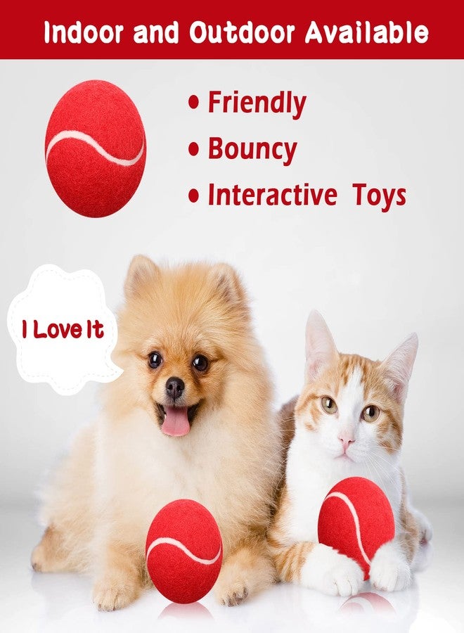 Yunsailing 15 Pcs Dog Tennis Balls Bulk 2.5 Inch Tennis Balls for Dogs Colored Mini Pet Toy Bulk for Large Medium Small Puppy Training Exercis - Image 3