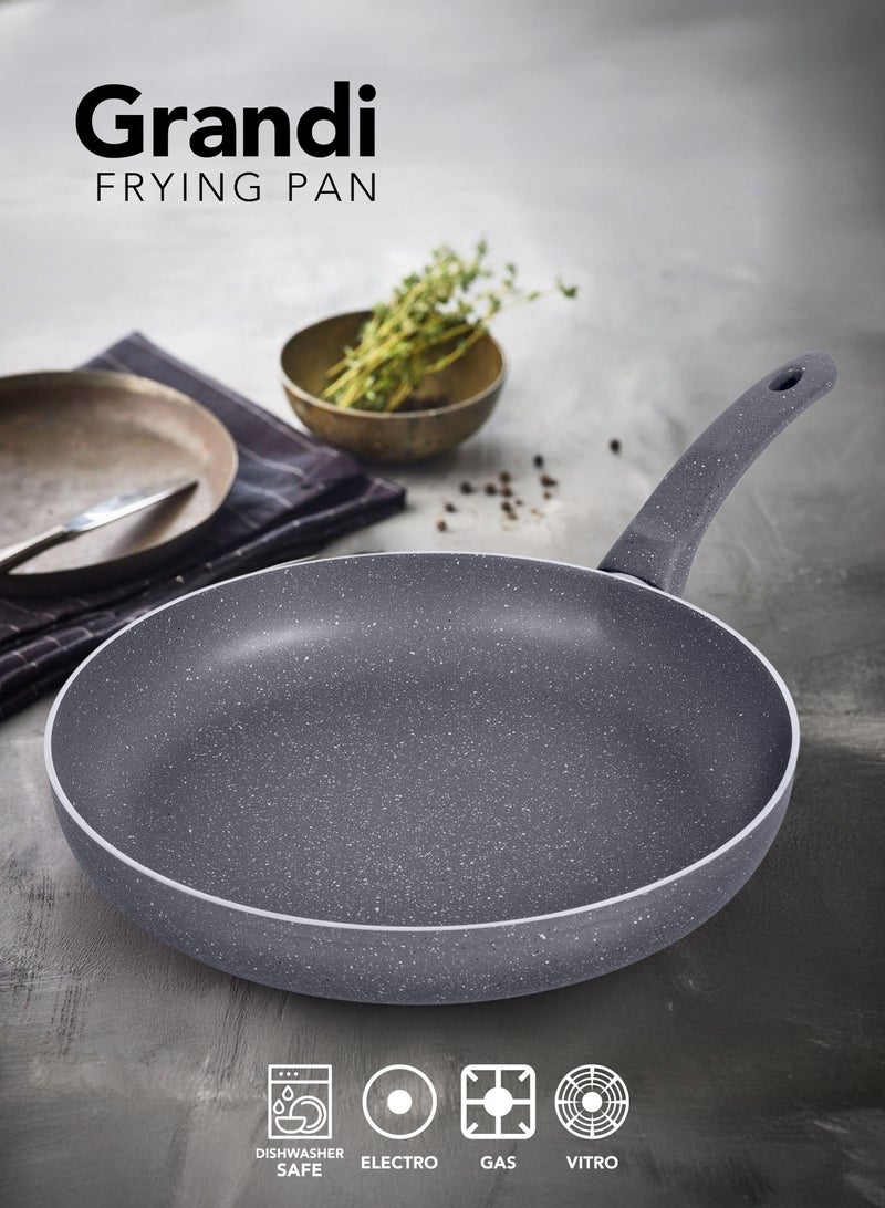 Grandi Frypan 24 cm Titanium High Thickness 1- Piece Non-Stick  Frying Pan Grey - Image 1