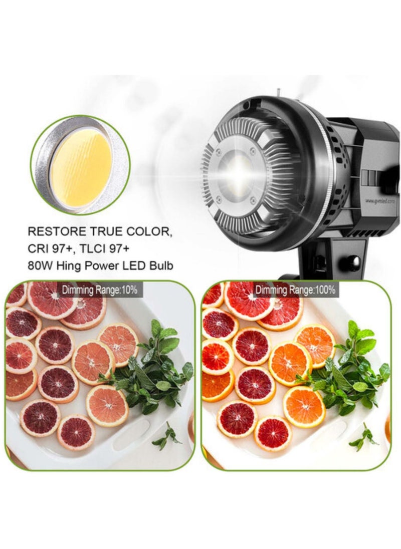GVM Great Video Maker GVM P80S-2/P80S-2 II - 1 Light With Soft Box  - Image 3
