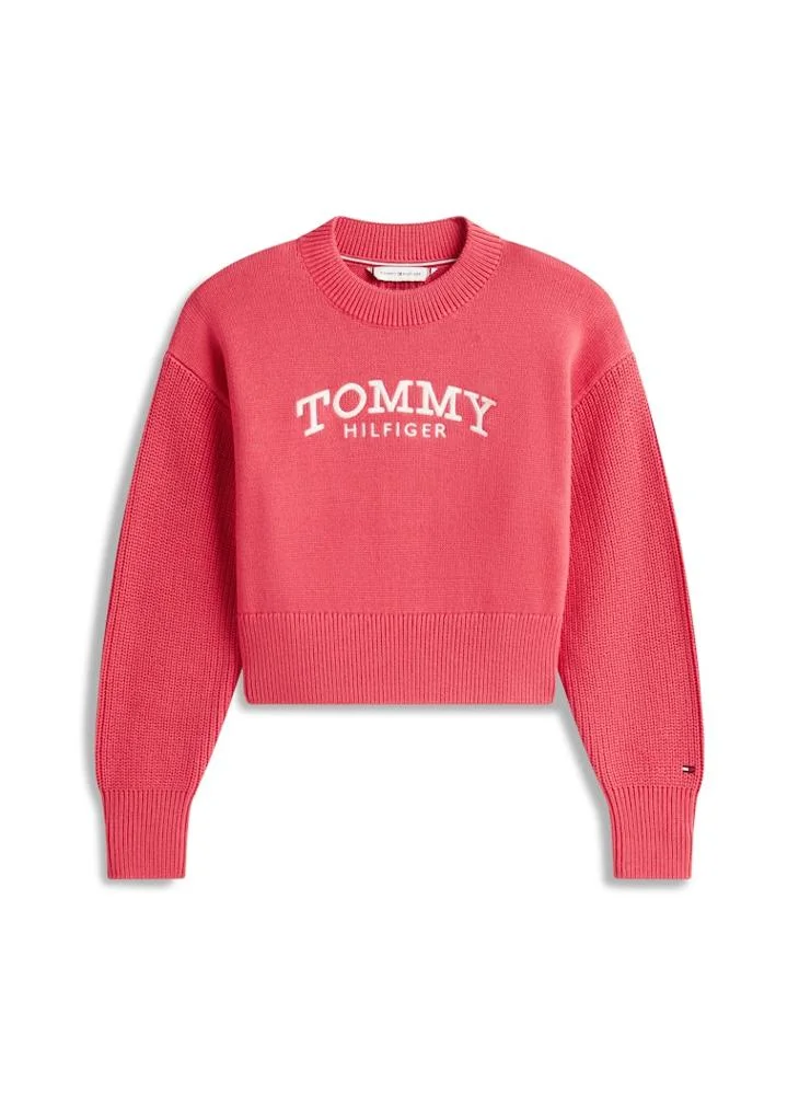 Tommy Hilfiger Vintage Cerise Kids Logo Crew Neck Sweater for Women | Best Price UAE