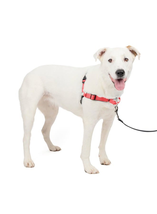 PetSafe Easy Walk Deluxe Dog Harness, No Pull Dog Harness – Perfect for Leash & Harness Training – Stops Pets from Pulling and Choking on Walks – Medium/Large, Rose - Image 1