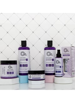 Oplus Oplus Natural Rosemary Hair Care Kit: Comprehensive Anti-Hair Loss Solution  - Image 2