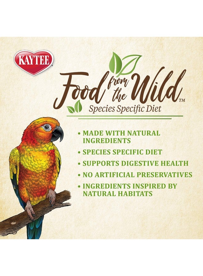 كايتي طعام كايتي من ذا وايلد ناتشورال بيت لطيور الكونيور، 2.5 رطل - Image 3