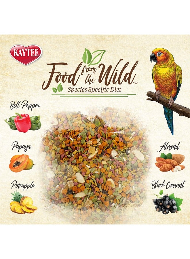 كايتي طعام كايتي من ذا وايلد ناتشورال بيت لطيور الكونيور، 2.5 رطل - Image 4