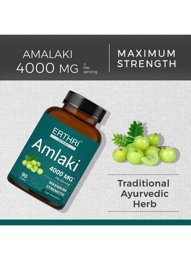 ERTHRI Amalaki Tablet - 4000mg, 90 tablets | Natural Health Booster for Enhanced Hair, Skin, Digestive Health, Metabolism Support | Rich In Vitamin C | Boosts Immunity| - Image 2