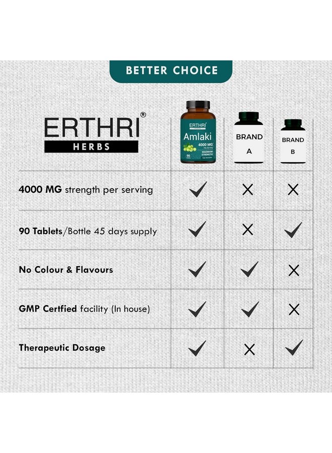 ERTHRI Amalaki Tablet - 4000mg, 90 tablets | Natural Health Booster for Enhanced Hair, Skin, Digestive Health, Metabolism Support | Rich In Vitamin C | Boosts Immunity| - Image 4