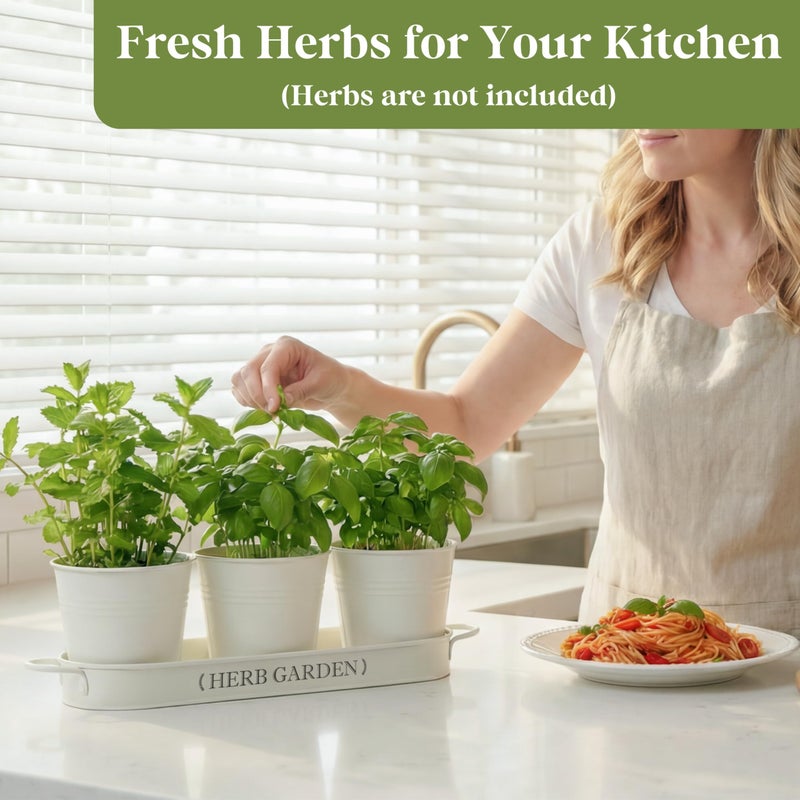 PERFNIQUE Indoor Herb Garden, Herb Planter for Indoor/Outdoor, Farmhouse Plant Pots, Windowsill Herb Garden with Tray(Planter only) Window Pots - Image 3