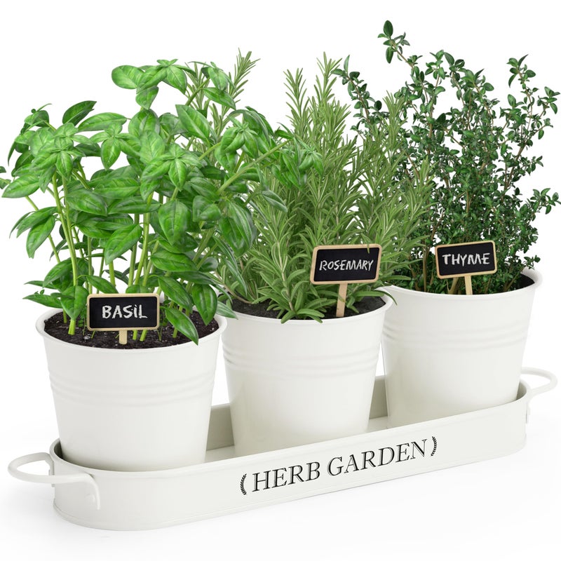 PERFNIQUE Indoor Herb Garden, Herb Planter for Indoor/Outdoor, Farmhouse Plant Pots, Windowsill Herb Garden with Tray(Planter only) Window Pots - Image 1