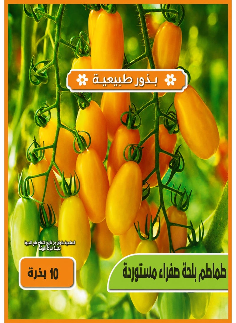 High Germination Rate Seeds - Yellow Beard Tomato - Image 1